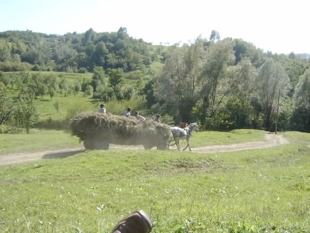 Natura a Romania